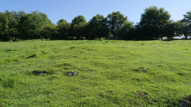 Atume eremu tumularra 1