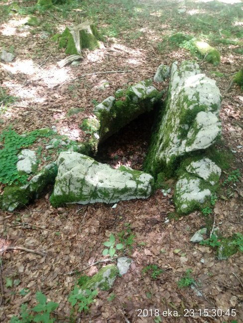 Arregi trikuharria 4