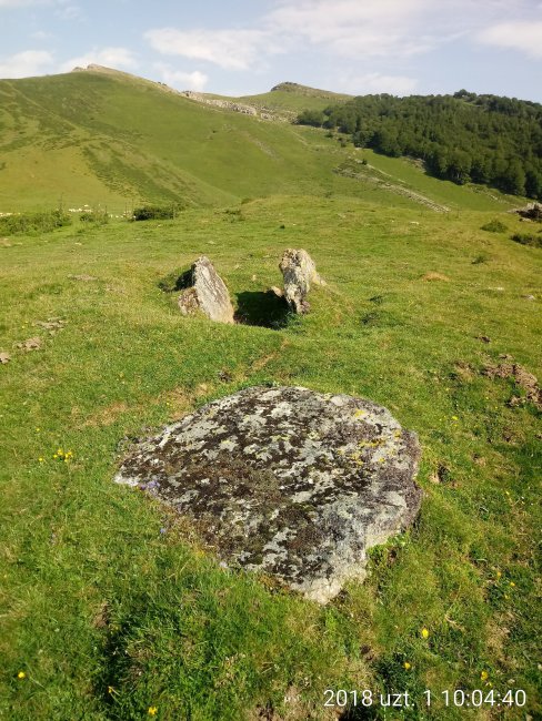 Azpegi III H. trikuharria (2018)