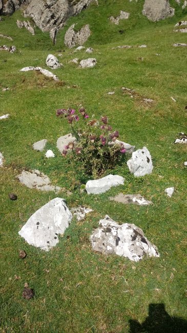 Iturtxoko zista (2018)