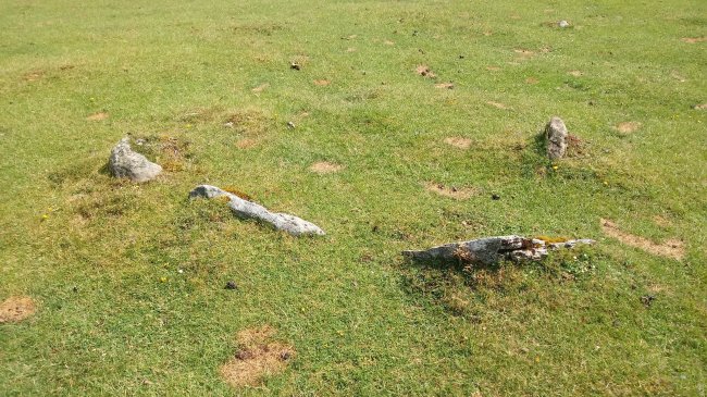 Zelaibizkar I harrespila 2