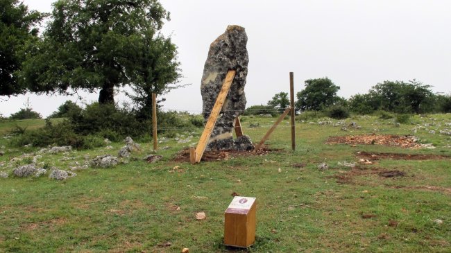 Mendiluze zutarria, Entzia