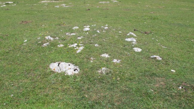 Surbe 2 oeste tumulua, Entzia