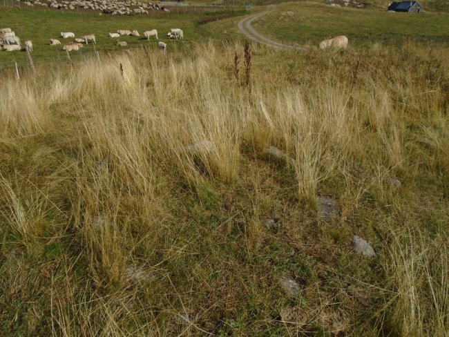 Centre Pastoral 2 harrespila