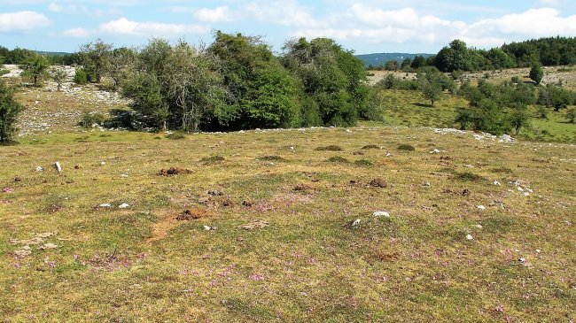 Baltsa Bardoitza 1 mendebalde tumulua, Urbasa