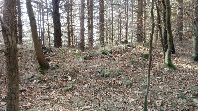 Lizarmendi tumuloa 3