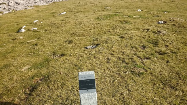 Pagoeta harrespila (2018)