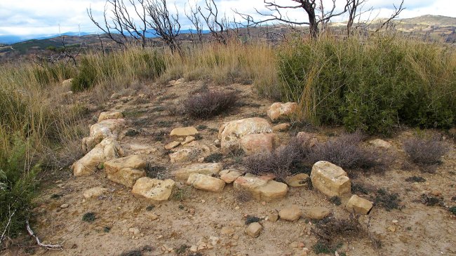 Karakidoia 2 trikuharria, Artaxoa