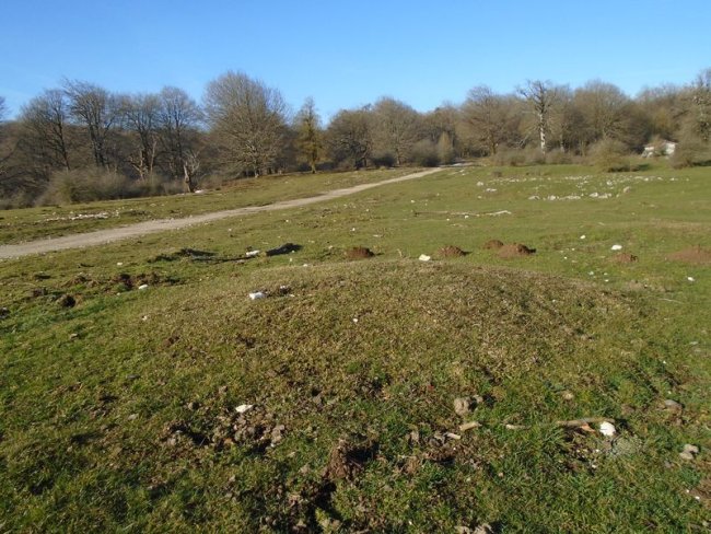 bidoiza  etxola hondoa