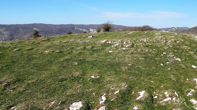 Ollideko Bizkarra eraztun tumulua, Urbasa