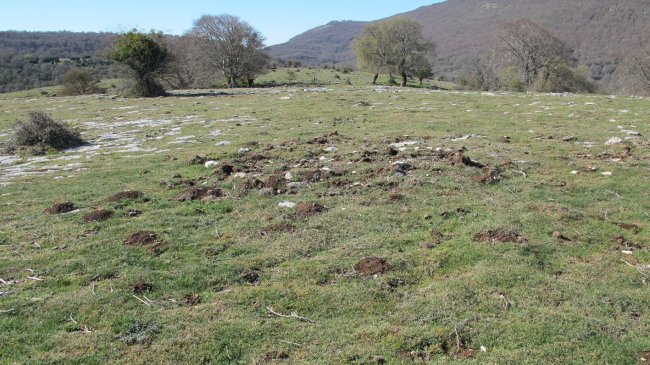 Otsagarate 13 tumulua, Urbasa