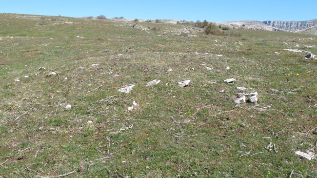 Errebeltz 2 norte tumulua, Urbasa