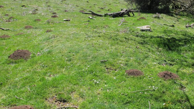 Gaztansoro 2 etxola hondoa, Urbasa