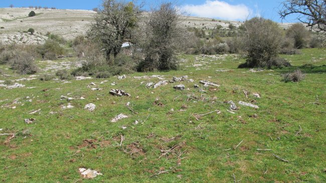 Zalbideko txabola tumulua, Urbasa