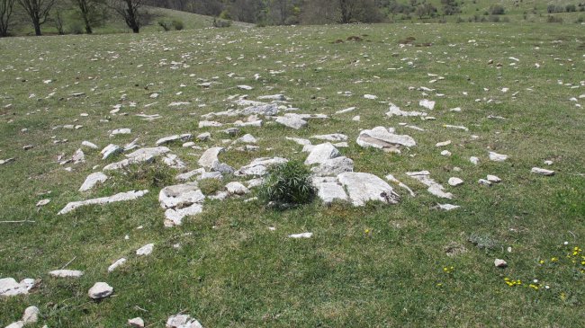 Gaztansoro 2 oeste tumulua, Urbasa