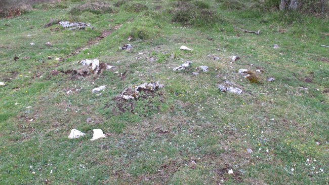 Santa Marina 6 tumulua, Urbasa