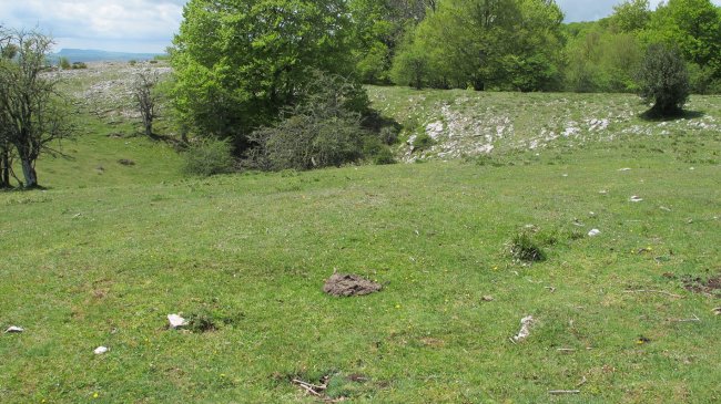 Arantzadia 4 etxola hondoa, Urbasa