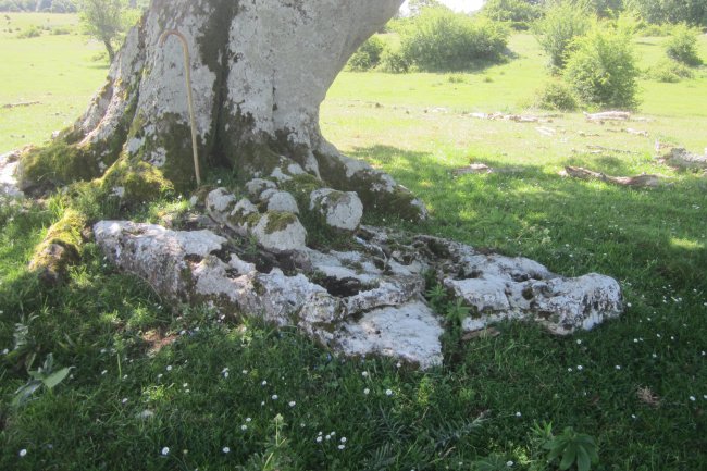 Monolito Legaire Oeste 6  (06-2019)