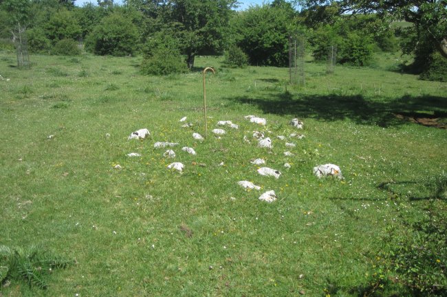 Túmulo Legaire 3  (Junio 2019)