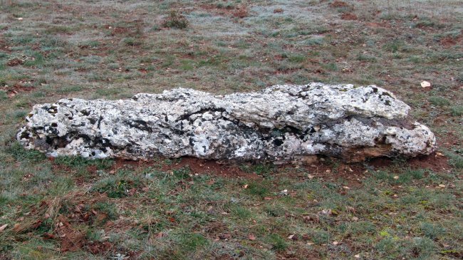 El Pelado de Aletxa zutarria, Arraia-Maeztu