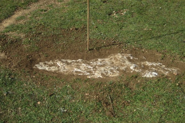 Monolito Lazeta  (Febrero 2020)