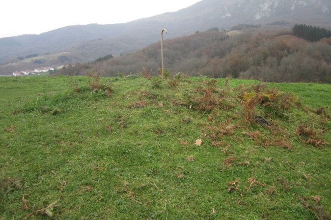 Túmulo San Donato 2 (Diciembre 2019)