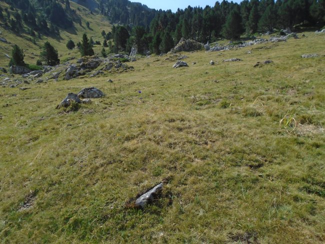 CABANE CAP DE POUNT SUR