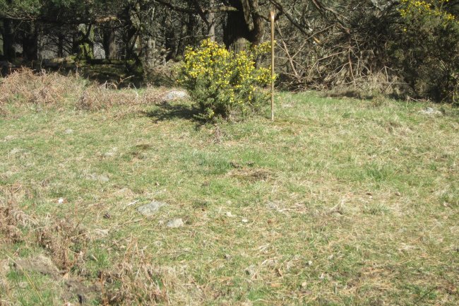 Túmulo Zurbitz  (Marzo 2019)