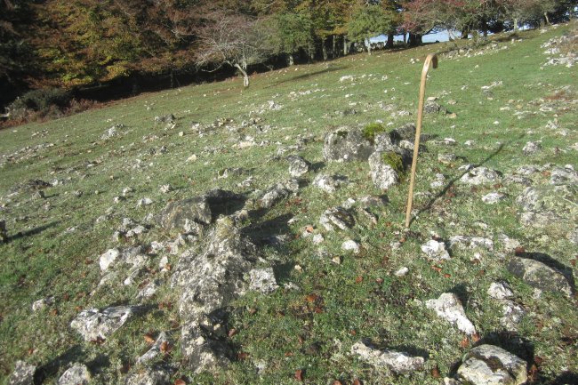 Dólmen Txumartegi III sur  (Octubre 2020)