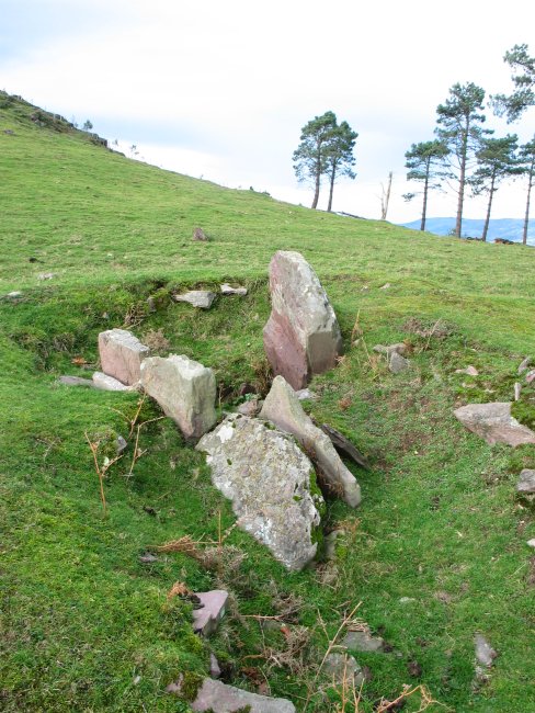 Bisasarobeko lepoko trikuharria