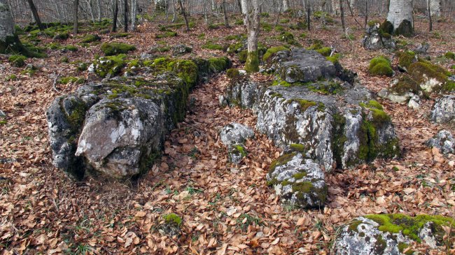 Larrazabal 1-2 zutarria, Entzia