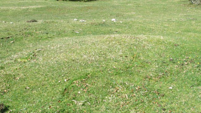 Itaida VII etxola hondoa, Entzia