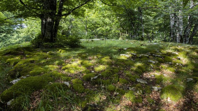 Senda de Arroniz eraztun tumulua