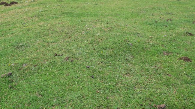 Alto Rincon de Urbasa 2 ekialde tumulua, Urbasa