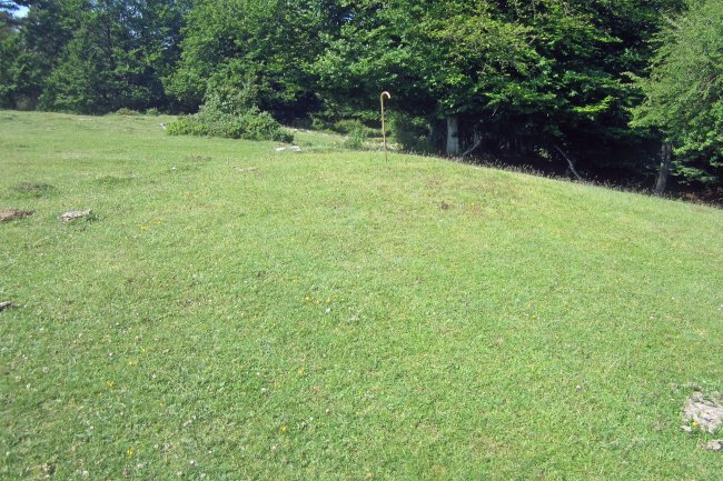 Fondo de Cabaña Las Choas (26-06-2021)