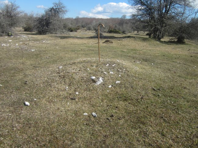 Campo Tumular Senda de Calleja nº 2 (Febrero 2022)