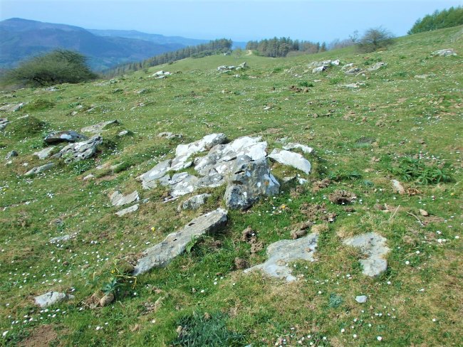 Campo tumular BELAURIATE II