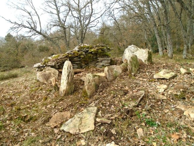 komostarri trikuharria