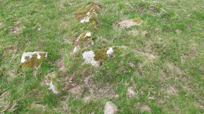 Oiza este trikuharria, Berro-Baztan