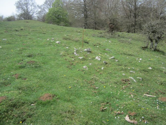 Túmulo Bardoitza VIII (Abril 2022) Dudoso