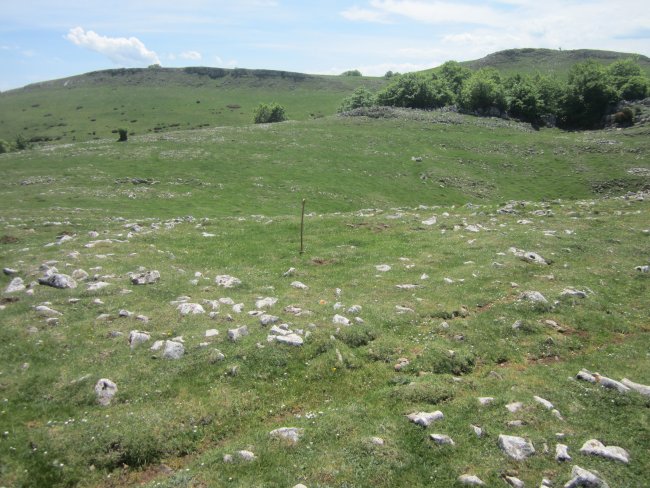 Túmulo Anular Motzeneko Txabola II (05-2022)