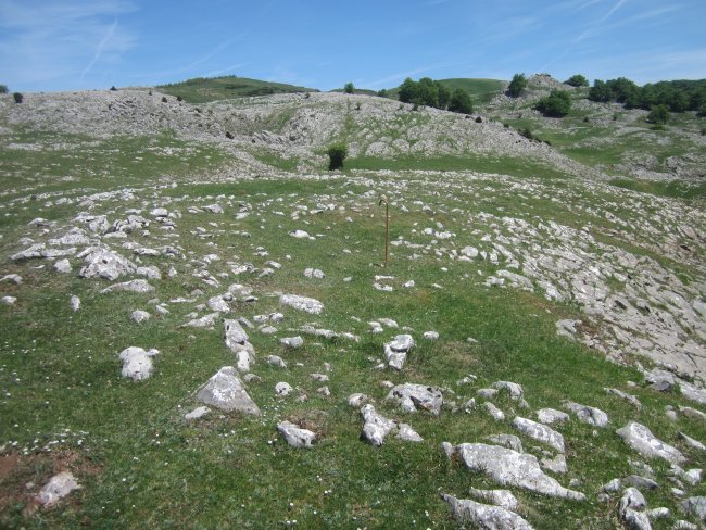 Túmulo Anular Motzeneko Txabola V (05-2022)