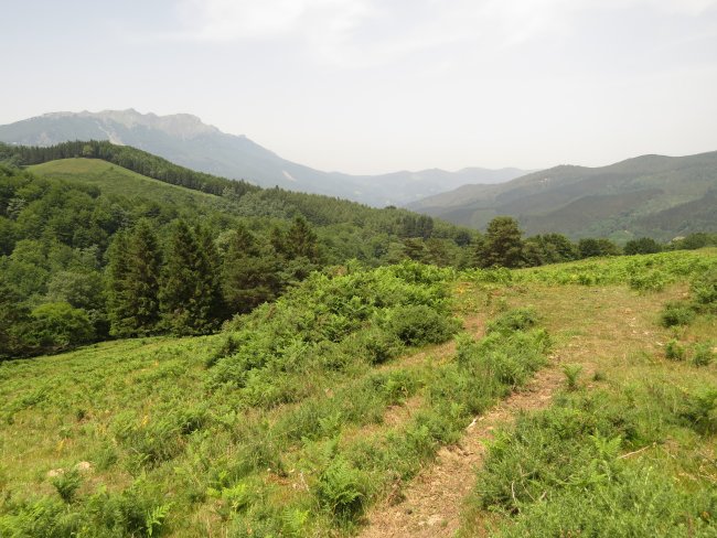 Fondo de cabaña ARKAUN V