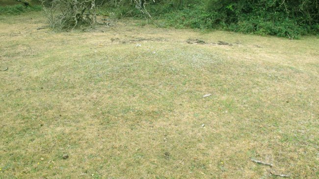 Pedrotxiki XXXIX tumulua, Urbasa