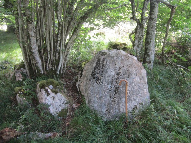 Lizarrandigañe 2 Oeste