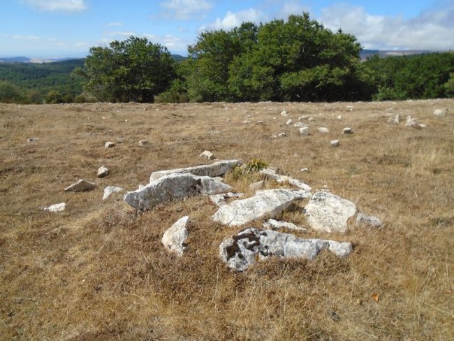 trekua goñi tumulua