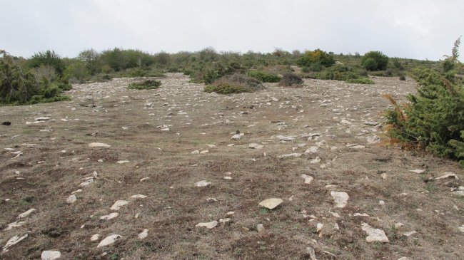 Treshayas eraztun tumulua, Andia