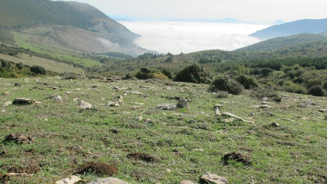 Borda Berri 2 eraztun tumulua, Andia