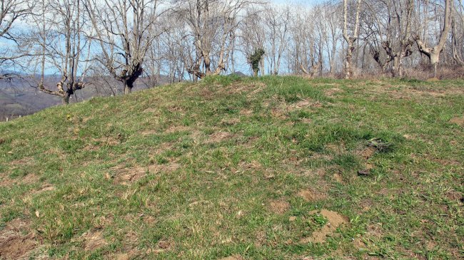 Indarteko Borda 3 etxola hondoa, Gartzain-Baztan