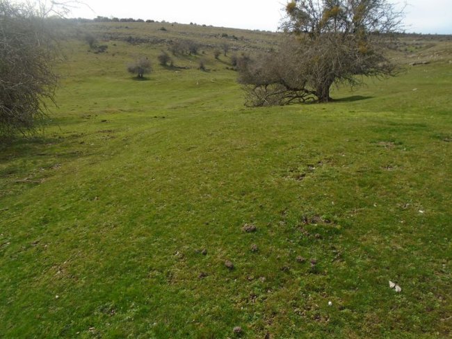 ingiriko portillua 3